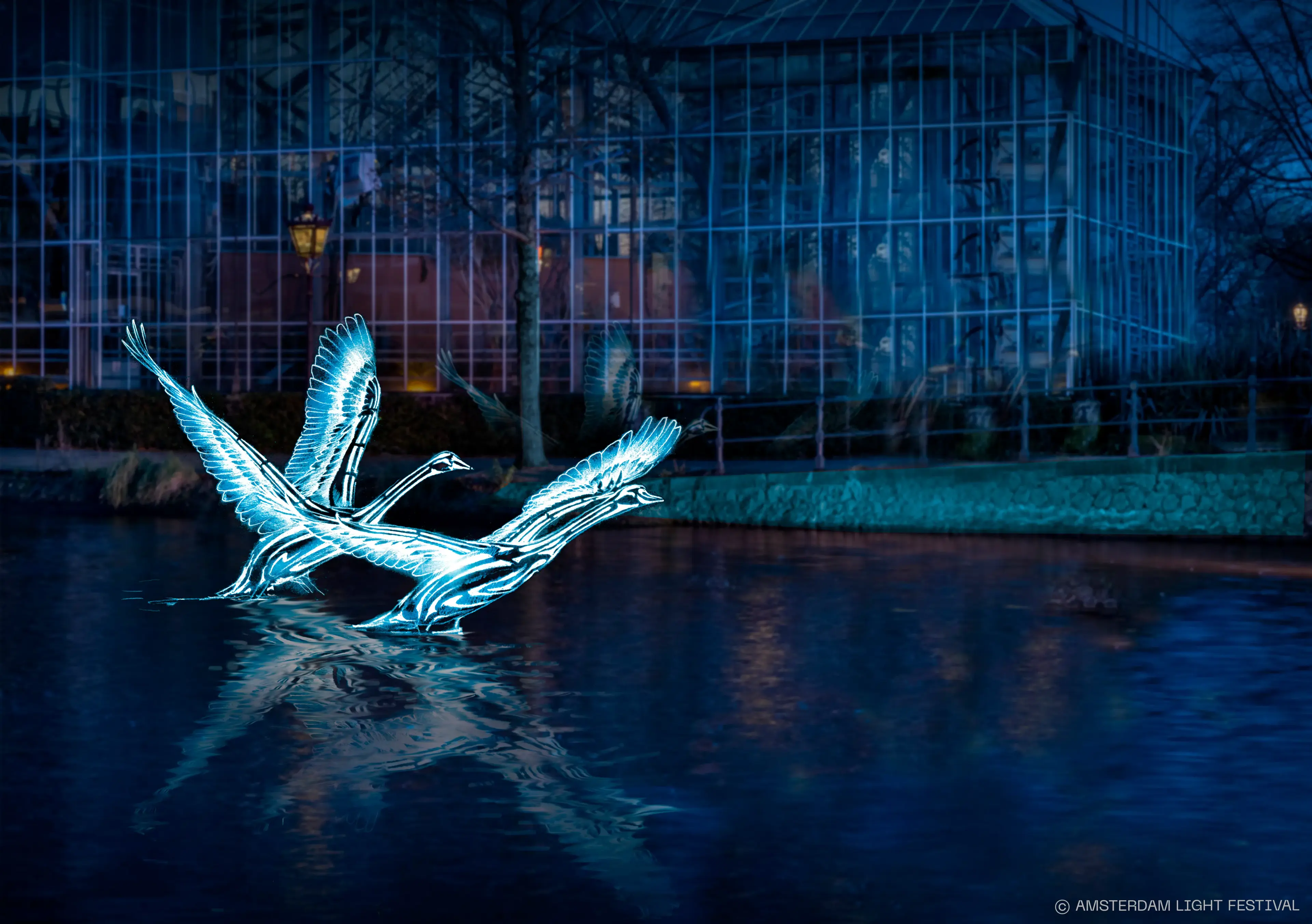 Amsterdam Light Festival Winter Walk with Stroopwafel Tasting OLD (Do not use API), photo 6