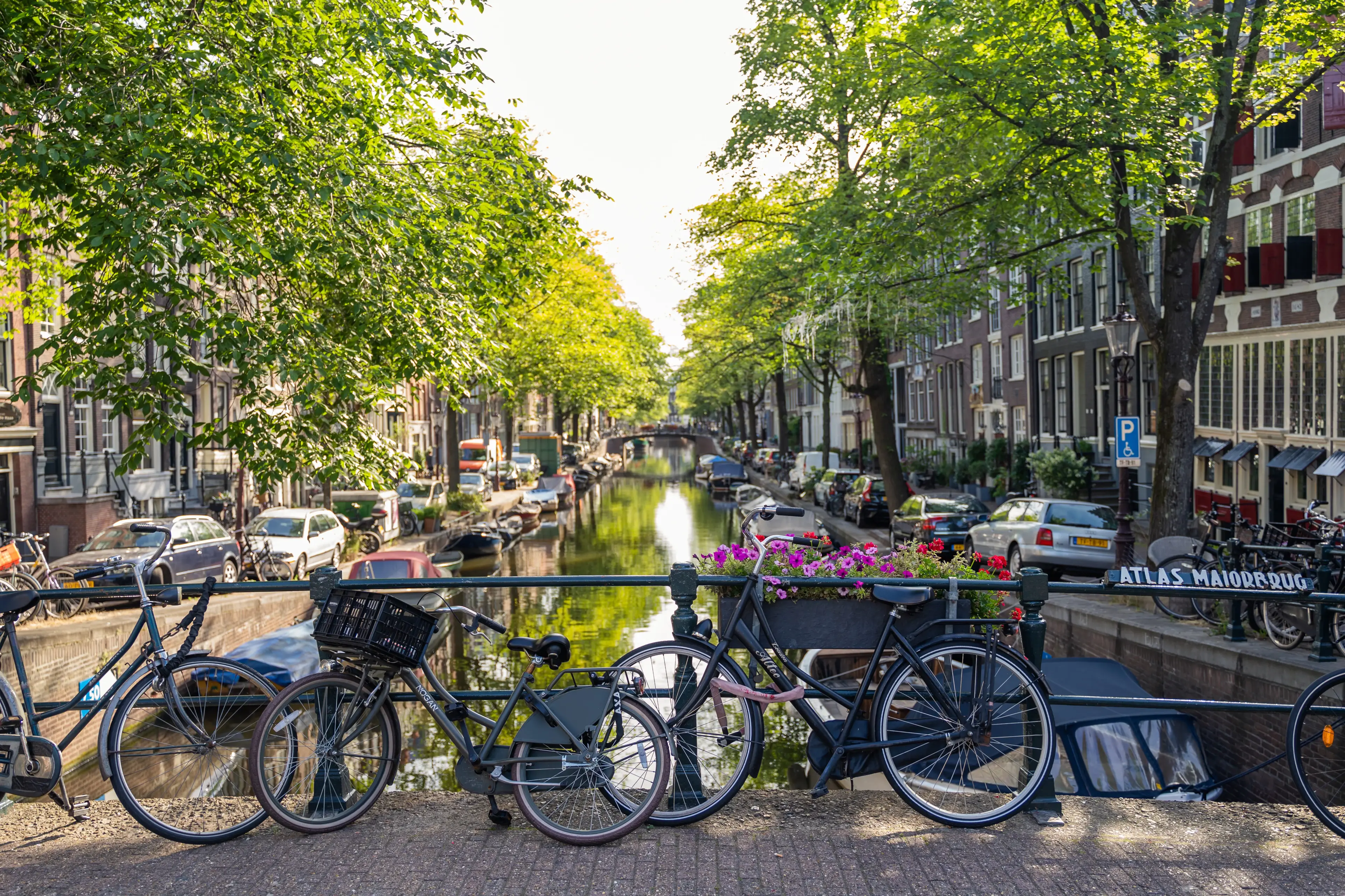 Amsterdam private walking tour, foto 3