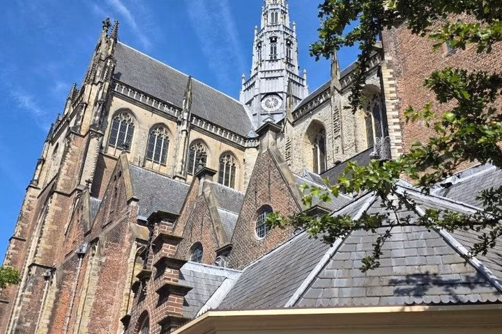 Haarlem Highlights: Windmills, Masters & Hidden Stories