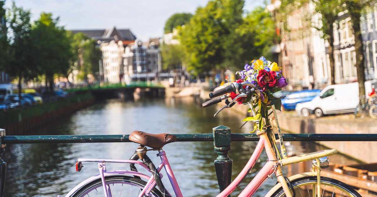 Amsterdam walking tour (small groups), photo 5