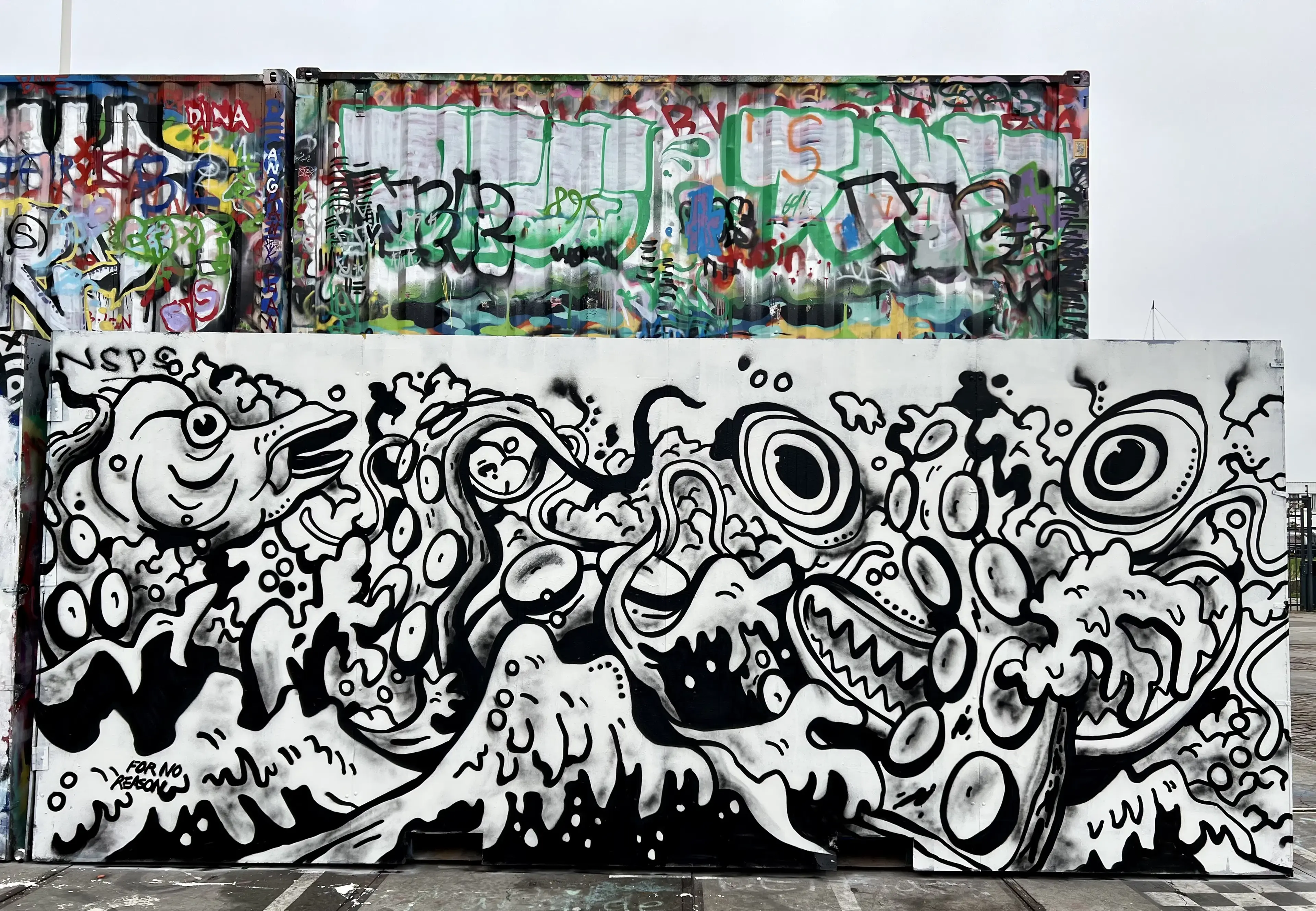 Amsterdam Street Art and NDSM private tour, photo 5
