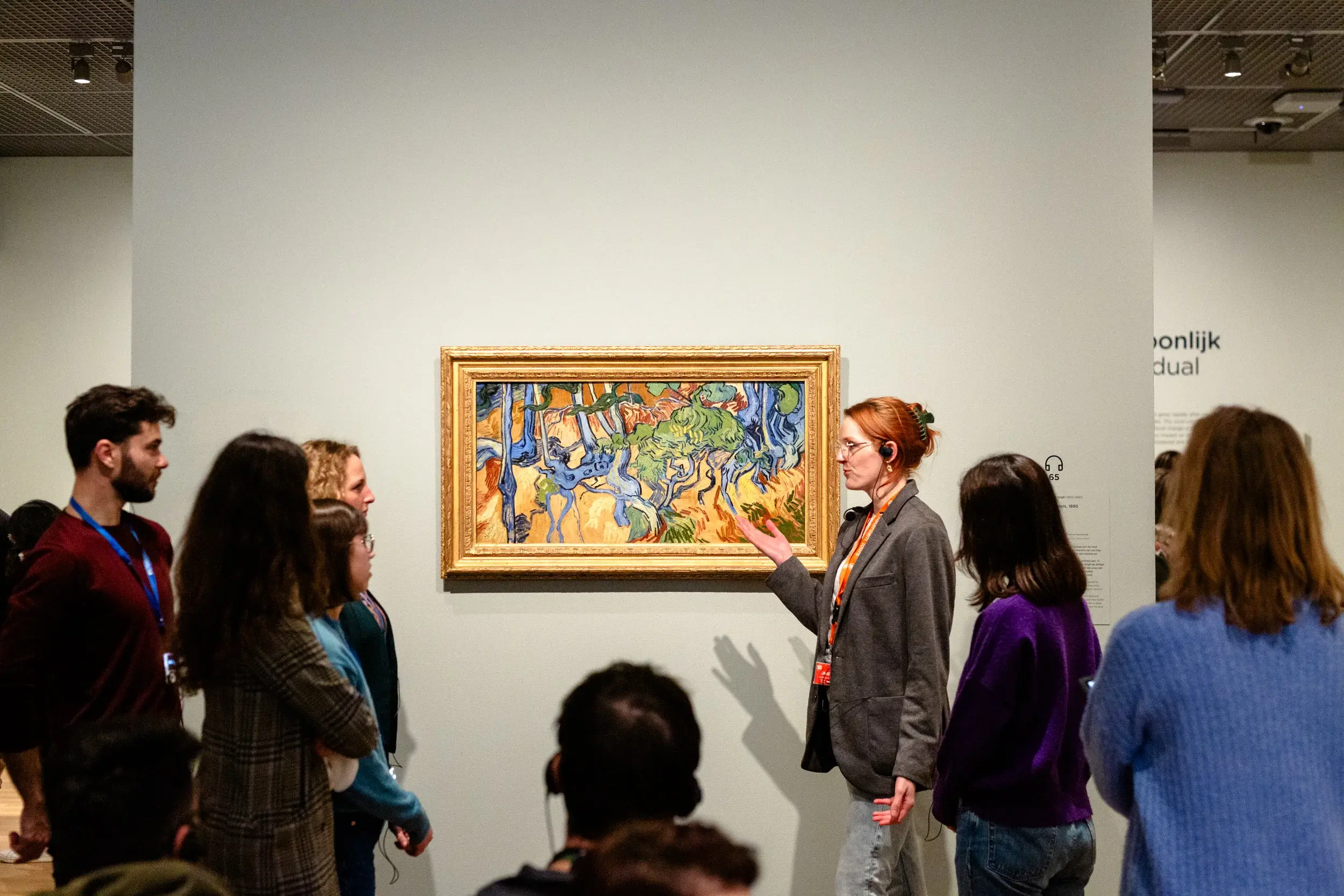 Van Gogh Guided Tour - With Reserved Entry, foto 9