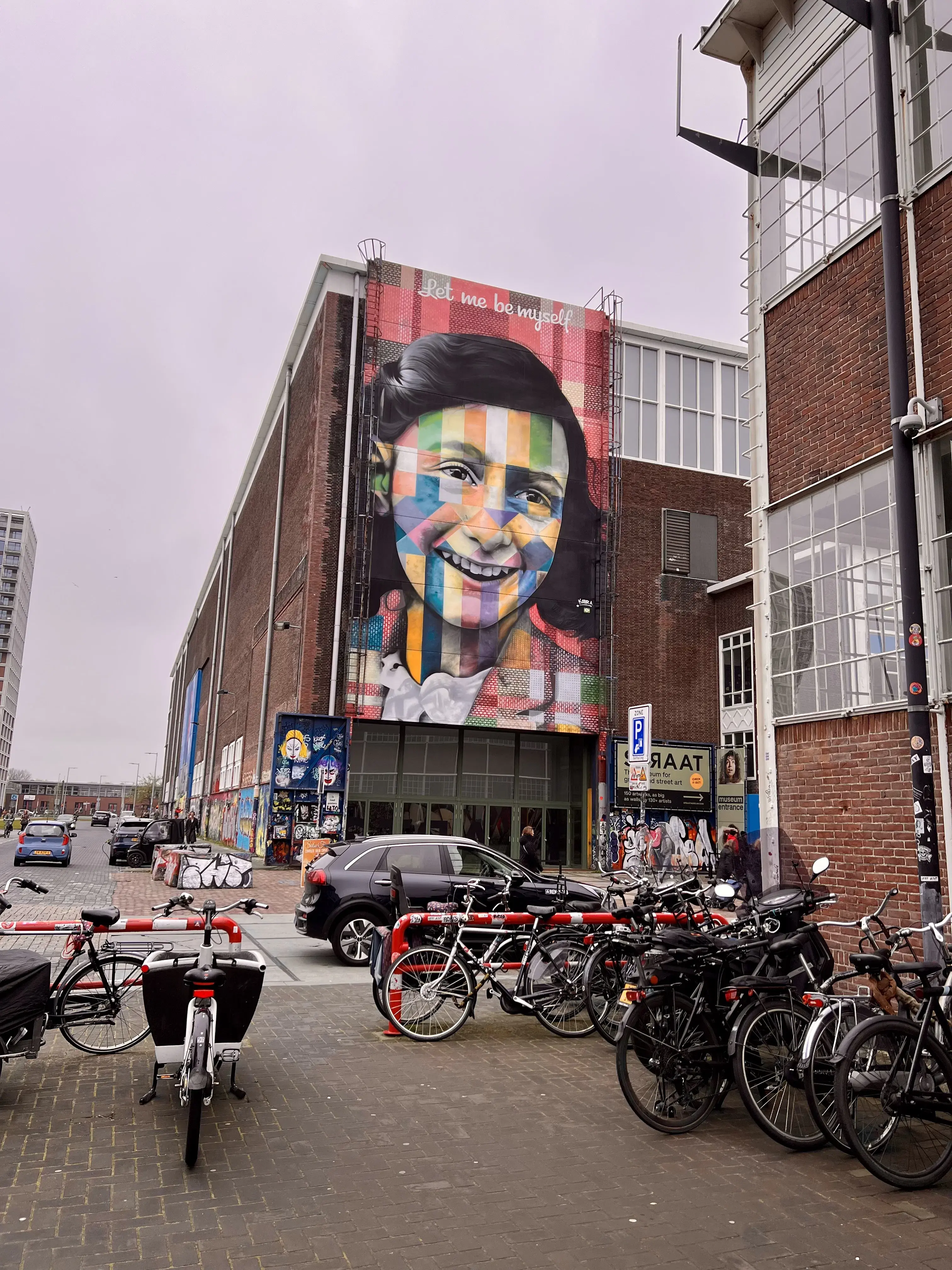 Amsterdam Street Art and NDSM private tour, photo 2