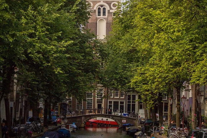 Green Parks of Amsterdam Bike Tour, foto 6